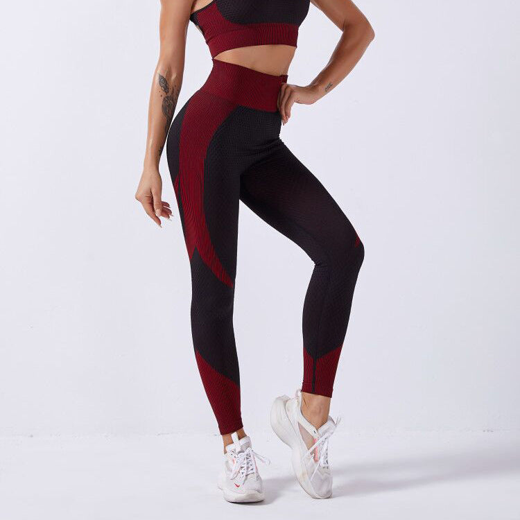 GYM Seamless Shark Seamless Sports Fitness Yoga Suit