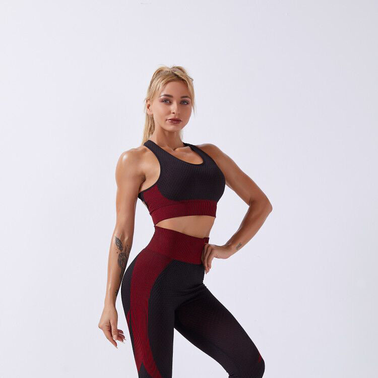 GYM Seamless Shark Seamless Sports Fitness Yoga Suit