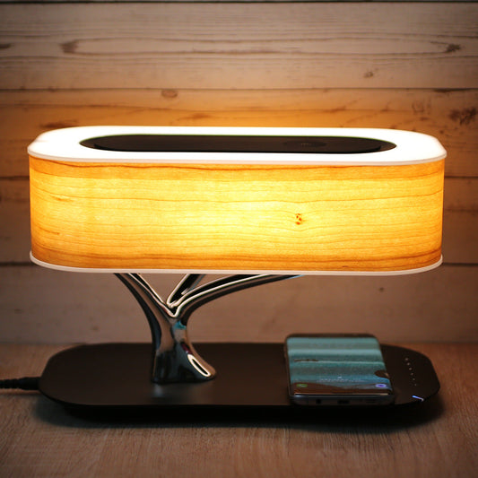 Light Of Life (wireless charging & Bluetooth Speaker)