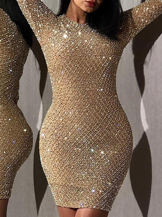 Sexy Evening Dress Perspective Sequin Dress