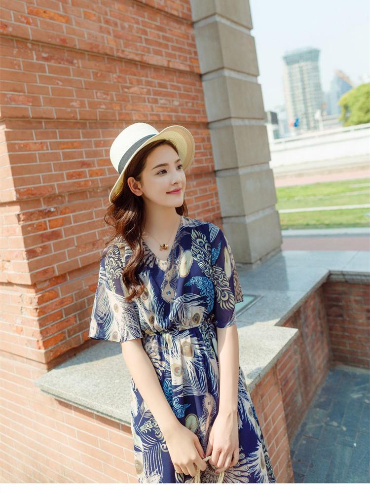 Retro Chiffon Printed Short Sleeve V Neck Bohemia Beach Dress