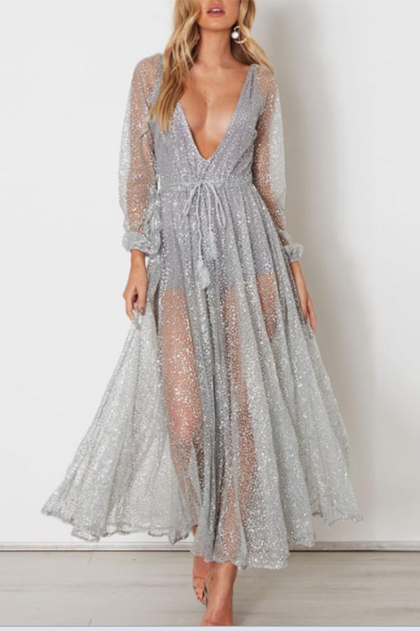 Sexy Silver Mesh Backless Maxi Dress
