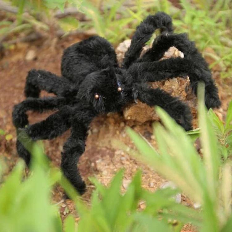 Black Plush Spider Halloween Decoration Tricky Toy