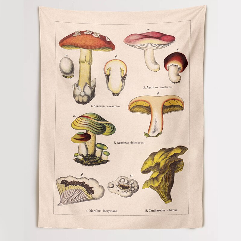 Mushroom Tapestry Wall Decor Mycology Mushroom Champignon Identification Chart Diagram Illustration Wall Art Boho Decor