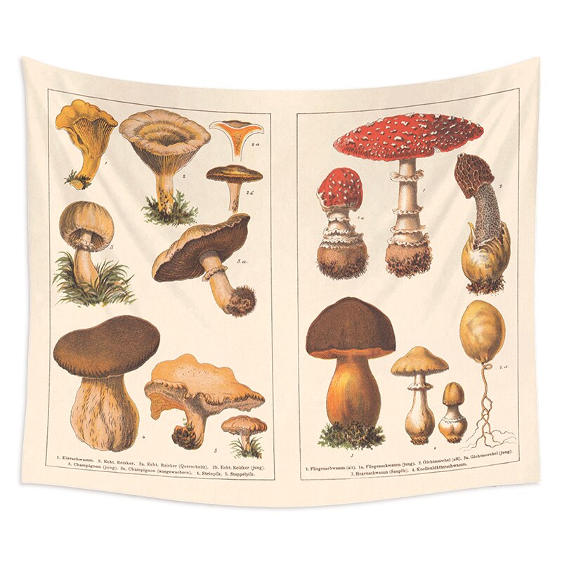 Mushroom Tapestry Wall Decor Mycology Mushroom Champignon Identification Chart Diagram Illustration Wall Art Boho Decor